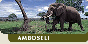 Amboseli