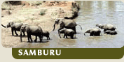 Samburu