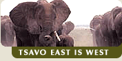 Tsavo East is West