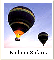 Balloon Safaris