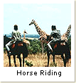 Horse Riding