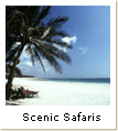 Scenic Safaris