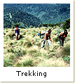 Trekking